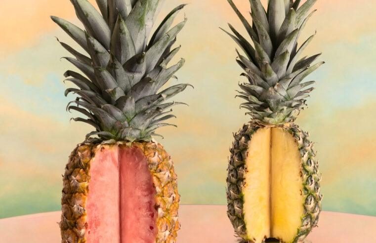 Are GMOs Safe? Breaking Down the Science of Science-ified Foods