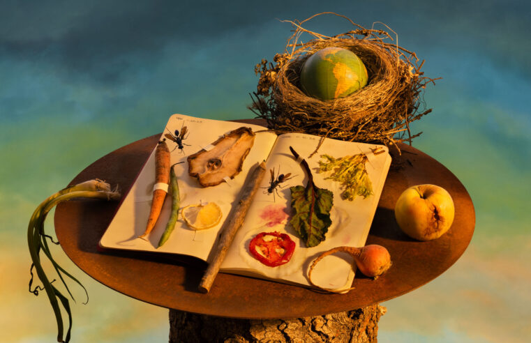 How to Reduce Food Waste and Save Money