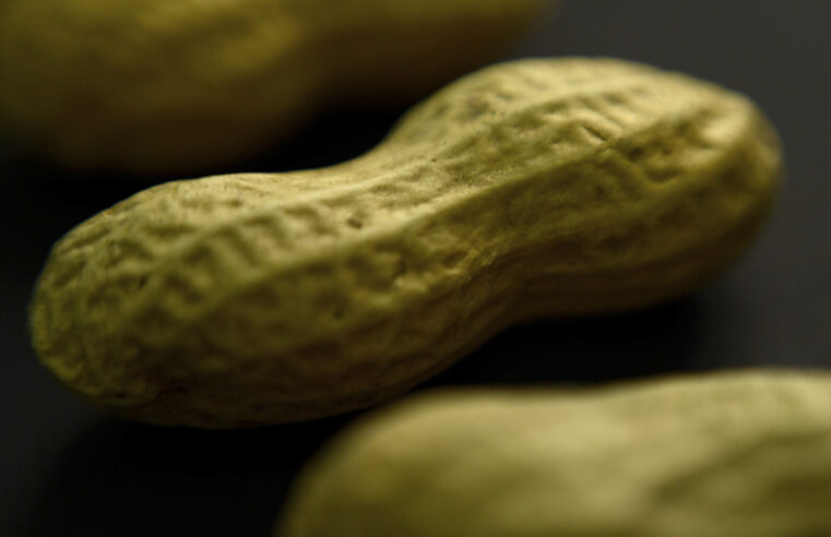 FDA approves a drug to treat severe food allergies, including milk, eggs and nuts