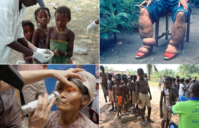 9 countries said goodbye to a devastating disease in 2024
