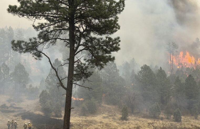 Blizzard Conditions Hit the Midwest While Wildfires and Tornadoes Threaten Central U.S.