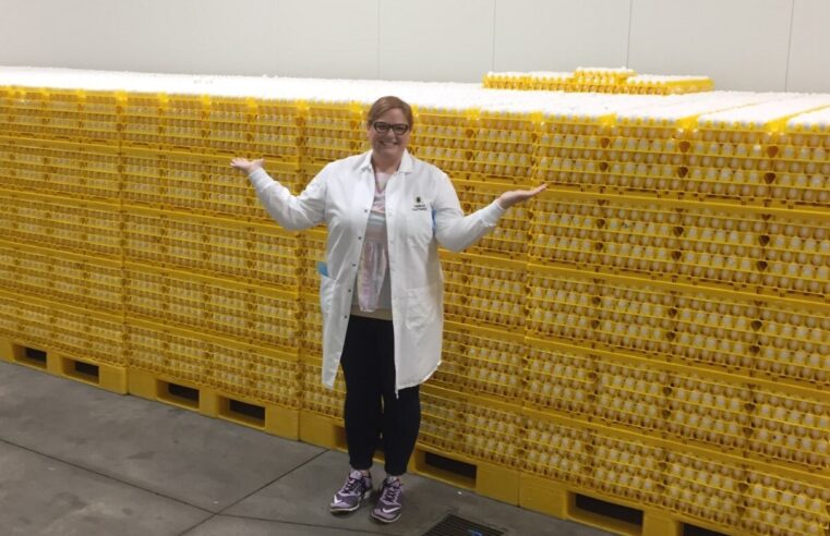 Egg prices have taken a beating. What’s behind the drop?