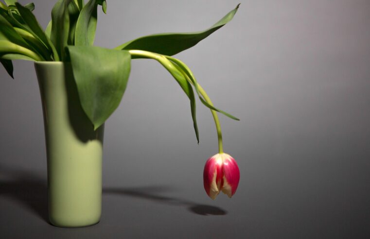 Kick your tiredness with these 7 natural energy boosters